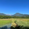 2023/06/04 日曜日　栂池自然園