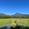 2023/06/04 日曜日　栂池自然園