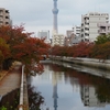 橋のある風景・秋編④『続・江東区の大横川に架かる猿江橋』