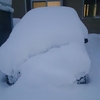 晴れのちたまに大雪