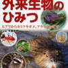 無駄にクオリティ高くてむせる