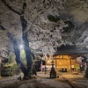 敷島神社の夜桜（埼玉県志木市）