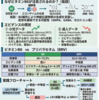 レベチラセタムの易刺激性・精神症状にビタミンB6は有効か？ エビデンス、使い方、ブリバラセタムとの選び分け