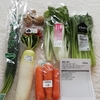 【畑野菜②】ユニリーバ様からお野菜が届きました🍅