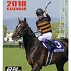 2017年有馬記念回顧　あるいは黒岩の6秒