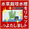 水草栽培水槽をリセットしましたよっ。②完結編
