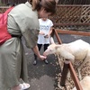 アラサー 日帰り静岡旅行