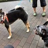 若〜いお友達♪