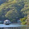 鐘撞堂山　芽吹き