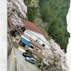 2024年奈良〜和歌山へ。女車1人旅④十津川温泉郷  秘湯を守る会のお宿 、上湯温泉「神湯荘」に泊まるの巻