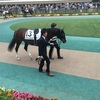 東京競馬12R パドック直前予想 ◎13 リターンラルク