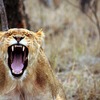 ジャッジすることを止めると楽になる
