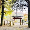 頼政神社　山北町神縄に暮らす子孫