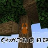 フォルスターフタマタ　終了（２１ライン）