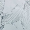 ダイの大冒険56話感想「最強にして本物の竜の騎士バランの死と人間の神はどこに？」
