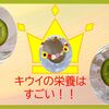 毎月８日は「果物の日」！　『キウイ』の栄養はすごい！！