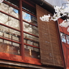 桜の季節は「主計町茶屋街」