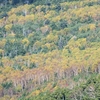 女峰山　紅葉風景