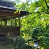 【京都】【御朱印】嵐山、『宝厳院』に行ってきました。 京都旅行 女子旅