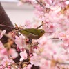 いかなる時にもあなたは共に居て下さる