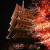 何故紅葉シーズンは京都に人が集まるの？