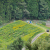 御門池（石川県津幡）