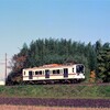 第1199話　1996年近江：どうした西武の大型車？（その５）