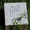 万葉集の世界に飛び込もう―万葉歌碑を訪ねて（その２３６３）―