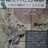 藤岡歴史館 令和５年度春季企画展『埴輪工人と古墳群 小林古墳群のつくられた頃』見学してきました！！