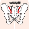 骨盤ベルトは癖になるのか？正しい着け方で腰痛の予防・セルフケア