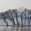 雪の湖北をゆくその９（湖北の風景）