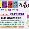 台東区佐竹商店街の「変化朝顔」と（伊）メローニ首相の「変顔」