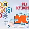 Why Choose the Best Ecommerce Website Development Company in Delhi?