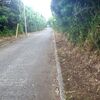 夏の終わり