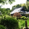 つづきの新緑2024（正覚寺・心行寺）