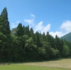 夏の声　【一日一作】