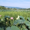 2020年8月上越旅行②