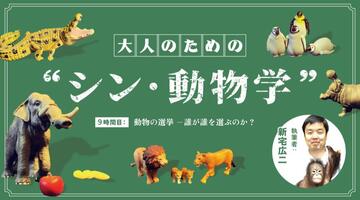 新宅広二｜9時間目：動物の選挙ー誰が誰を選ぶのか？【大人のための“シン・動物学”】