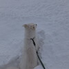 雪遊び