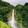 《Bigisland.2019》ハワイ島2日目① 虹の見える滝