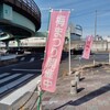 大高緑地公園の「花梅まつり」を所用の道すがらチラ見してきた