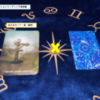 backend=imagemagick;height=200