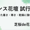 ローメンテナンス花壇のその後（約半年経過）