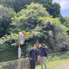 【近場でも楽しめる！】ハイキングコース＆温泉