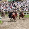 競走馬の屠畜、安楽死処分を考える。