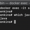 Dockerのslaveコンテナ起動エラー@Javaが見つからない