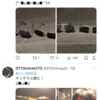(;´･ω･)明日はサバゲーだというのに