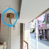 和泉多摩川　ツバメ君ニュース速報！