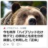 【クマイシス？！＝頻発するクマ被害……６／２－８　各地でクマ被害続く】＃547