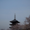 東寺の夜間拝観に行きます